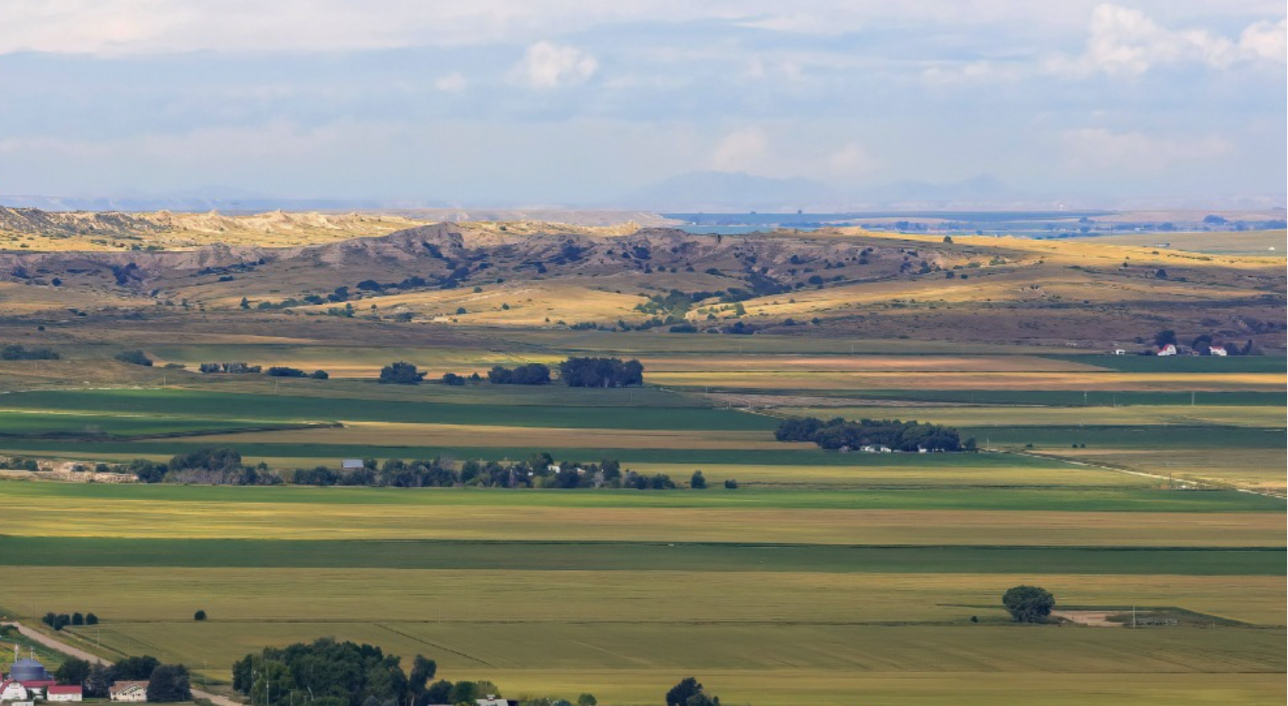 sustainability-banner-1